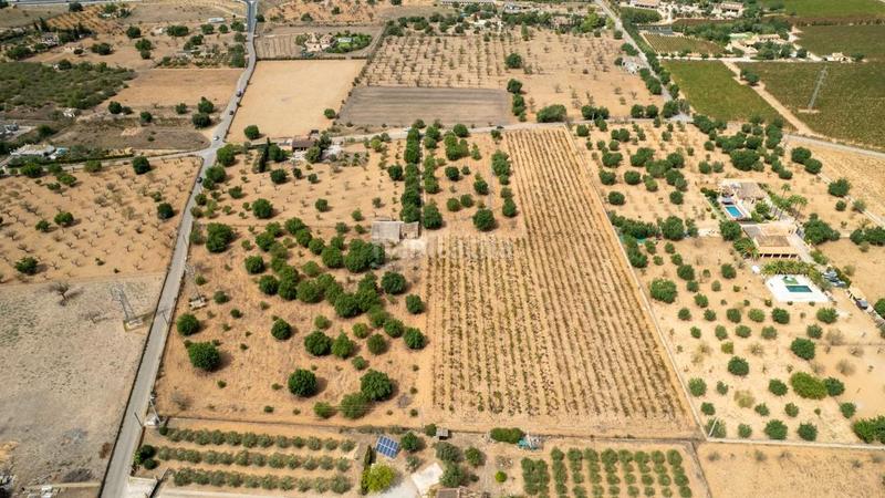 Foto cd573dff-9b4d-4777-82e5-f7128a495494. Rural plot in Consell Foto cd573dff-9b4d-4777-82e5-f7128a495494. Rural plot in Consell