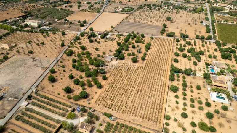 Foto dadd2d45-17a0-4aad-826b-25d1fd58c49f. Rural plot in Consell Foto dadd2d45-17a0-4aad-826b-25d1fd58c49f. Rural plot in Consell