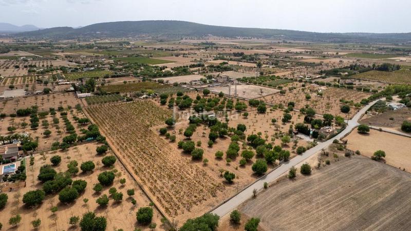 Foto e1b32059-3844-49bf-8c50-88b75bc993b3. Rural plot in Consell Foto e1b32059-3844-49bf-8c50-88b75bc993b3. Rural plot in Consell