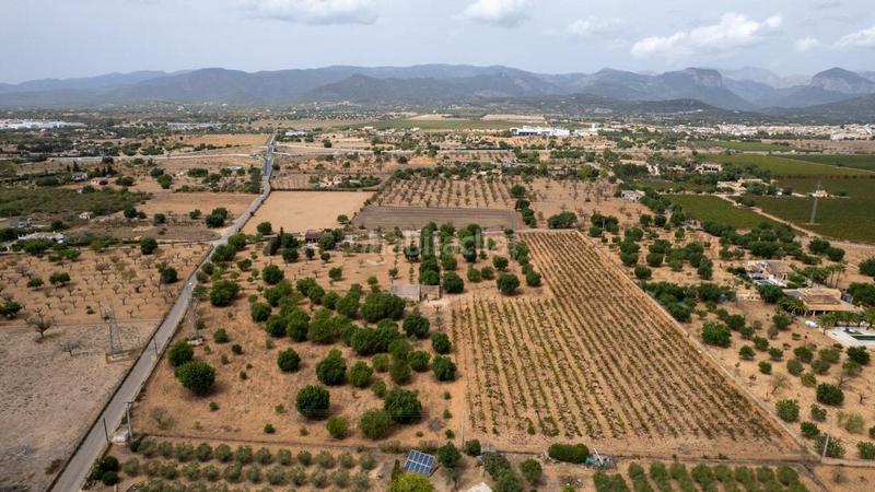 Foto efdbdc4f-9a6c-454d-b003-6e85c94fb847. Rural plot in Consell Foto efdbdc4f-9a6c-454d-b003-6e85c94fb847. Rural plot in Consell