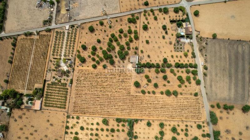 Foto f5ce39fb-c3fd-4065-b3f0-00fe209bc773. Rural plot in Consell Foto f5ce39fb-c3fd-4065-b3f0-00fe209bc773. Rural plot in Consell