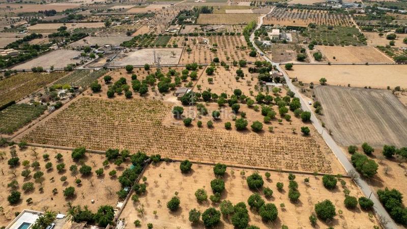 Foto f6a0dc32-b27f-48b1-9b39-815afa4a6c76. Rural plot in Consell Foto f6a0dc32-b27f-48b1-9b39-815afa4a6c76. Rural plot in Consell