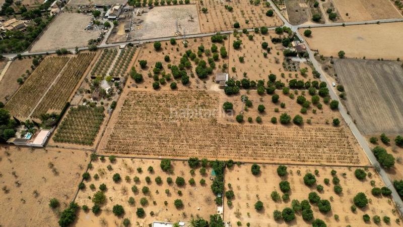 Foto fa35488a-4248-43ab-805c-dcc99e08b7b1. Rural plot in Consell Foto fa35488a-4248-43ab-805c-dcc99e08b7b1. Rural plot in Consell