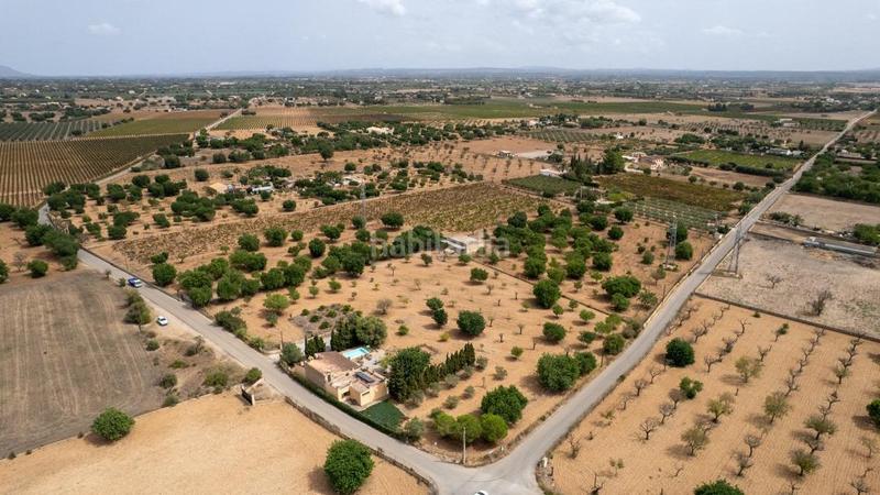 Foto fe7bfd5b-b7ea-4977-8150-311786e0e181. Rural plot in Consell Foto fe7bfd5b-b7ea-4977-8150-311786e0e181. Rural plot in Consell