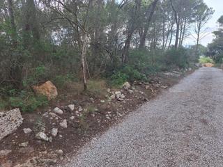 Wohngrundstück in Algaida. Magnifico pinar a la venta en algaida Wohngrundstück in Algaida. Magnifico pinar a la venta en algaida