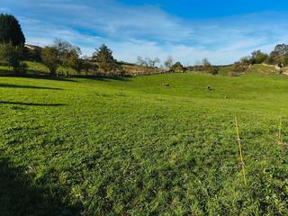 Terreny residencial  Caserio carancos 4. Fincas edificables, piloña. asturias Terreny residencial  Caserio carancos 4. Fincas edificables, piloña. asturias