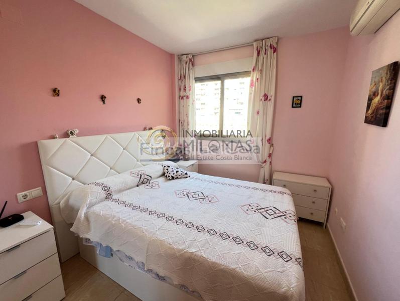Foto f0e89134-822a-4e5b-93a2-de2683b0ba61. Piccolo appartamento con riscaldamento parcheggio piscina in Vila Joiosa (la) Foto f0e89134-822a-4e5b-93a2-de2683b0ba61. Piccolo appartamento con riscaldamento parcheggio piscina in Vila Joiosa (la)