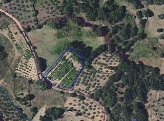 Finca rústica a Lagunilla. Terreno en venta en lagunilla salamanca Finca rústica a Lagunilla. Terreno en venta en lagunilla salamanca