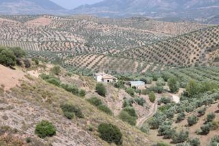 Casa Paseo concejal jose oliva. Impresionante finca de 3 dormitorios en la idílica sierra de las Casa Paseo concejal jose oliva. Impresionante finca de 3 dormitorios en la idílica sierra de las