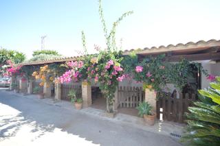 Lloguer Estudi a Carril de veron 23. Estudio en complejo rural en conil. Lloguer Estudi a Carril de veron 23. Estudio en complejo rural en conil.