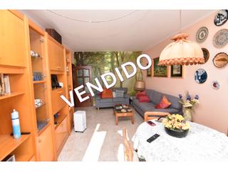 Pis a Carrer tribala 46. ¡descubre tu nuevo hogar en el corazón de pineda! Pis a Carrer tribala 46. ¡descubre tu nuevo hogar en el corazón de pineda!