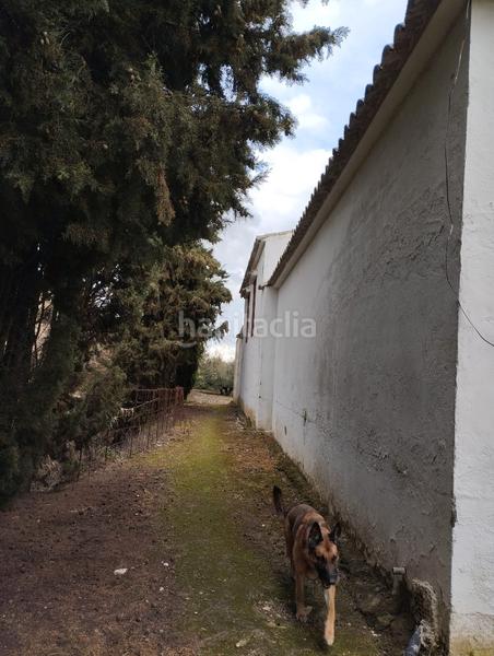 Foto 70e79414-0226-4dff-bb1c-dab31200d8ed. Masia amb aparcament piscina a Montilla Foto 70e79414-0226-4dff-bb1c-dab31200d8ed. Masia amb aparcament piscina a Montilla