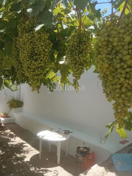 Foto 72230fbd-9458-42c0-8994-956f07c3cf6d. Masia amb aparcament piscina a Montilla Foto 72230fbd-9458-42c0-8994-956f07c3cf6d. Masia amb aparcament piscina a Montilla