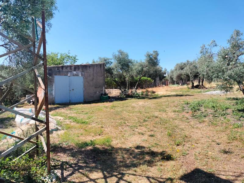 Foto 278eb74c-a2a2-41a5-ad4e-3d03d7361bd3. Haus mit heizung pool in Almodóvar del Campo Foto 278eb74c-a2a2-41a5-ad4e-3d03d7361bd3. Haus mit heizung pool in Almodóvar del Campo