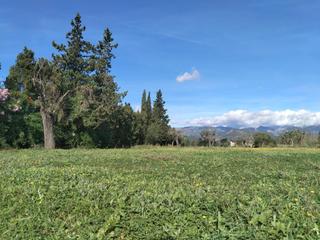 Propriété à Santa María del Camí. Terreno en santa maría del camí Propriété à Santa María del Camí. Terreno en santa maría del camí