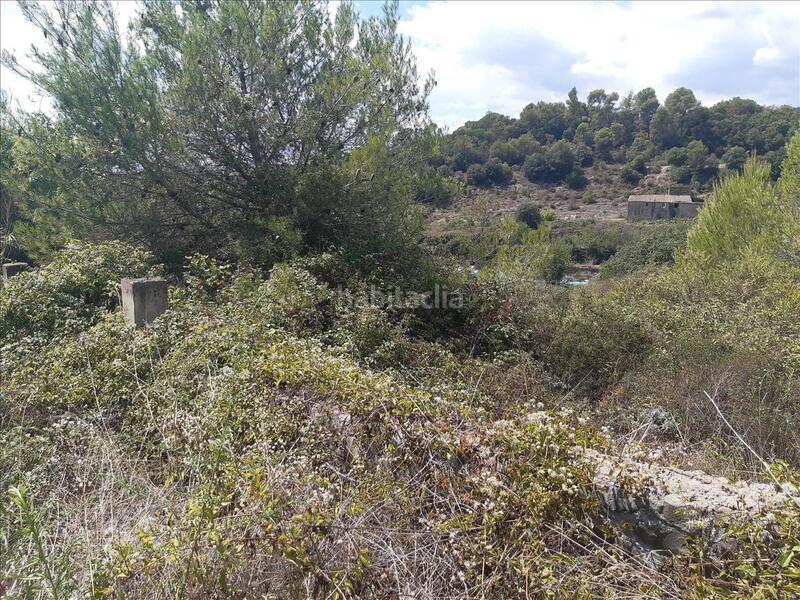 Foto e6b48229-cbde-43b1-ad40-c4e02dc65c81. Terreny residencial a Sant Julià de Ramis Foto e6b48229-cbde-43b1-ad40-c4e02dc65c81. Terreny residencial a Sant Julià de Ramis