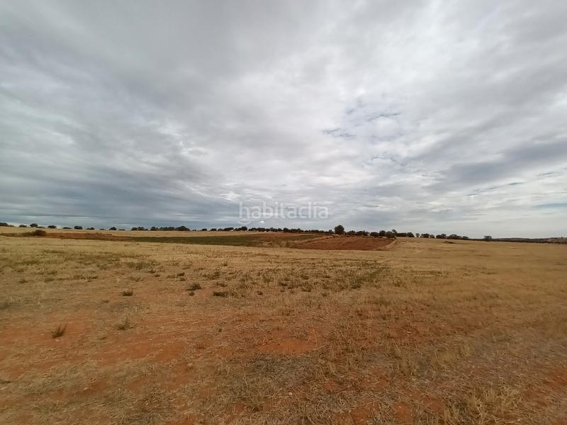 Foto 382a999f-fbba-4d17-8479-dca48637525c. Terreny residencial a Mondéjar Foto 382a999f-fbba-4d17-8479-dca48637525c. Terreny residencial a Mondéjar