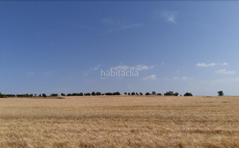 Foto 6a08c527-2b73-4271-bd53-c9c2233fe85a. Terreny residencial a Mondéjar Foto 6a08c527-2b73-4271-bd53-c9c2233fe85a. Terreny residencial a Mondéjar