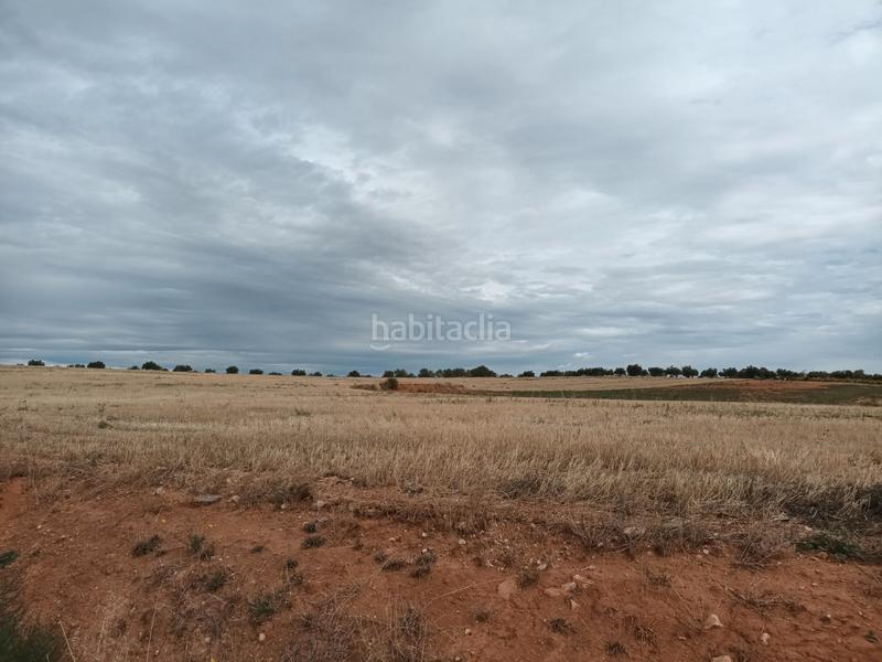 Foto ec136f11-b8f3-4873-9cf8-a6c13eed784d. Terreny residencial a Mondéjar Foto ec136f11-b8f3-4873-9cf8-a6c13eed784d. Terreny residencial a Mondéjar