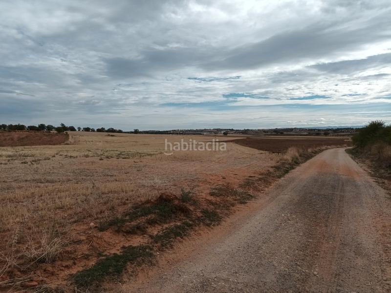 Foto fd5490a8-708e-4b3d-9df5-3fd7135f1ac9. Terreny residencial a Mondéjar Foto fd5490a8-708e-4b3d-9df5-3fd7135f1ac9. Terreny residencial a Mondéjar
