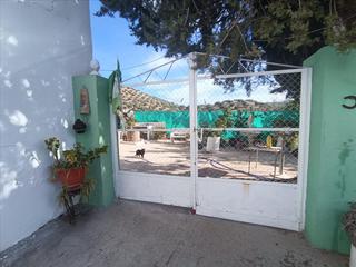Terreny residencial Proc. simplificado Terreny residencial Proc. simplificado
