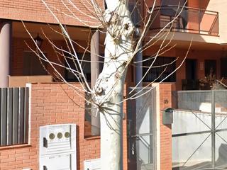 House  Filomena contreras fdez House  Filomena contreras fdez