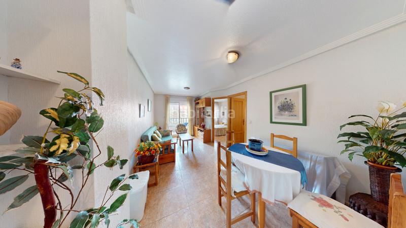 Foto 08fa98b9-b5d3-4da5-becf-5811fc1c9f33. Pis a Antonio Machado Torrevieja Foto 08fa98b9-b5d3-4da5-becf-5811fc1c9f33. Pis a Antonio Machado Torrevieja