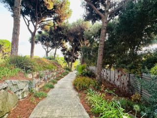 Terreny residencial  Passeig montalt. Solar con vistas al mar y anteproyecto de vivienda unifamiliar Terreny residencial  Passeig montalt. Solar con vistas al mar y anteproyecto de vivienda unifamiliar