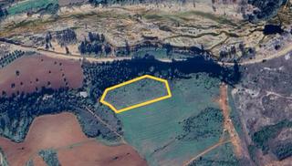 Finca rústica  Calle cristóbal colón. Terreno rústico a la venta en niebla, huelva Finca rústica  Calle cristóbal colón. Terreno rústico a la venta en niebla, huelva