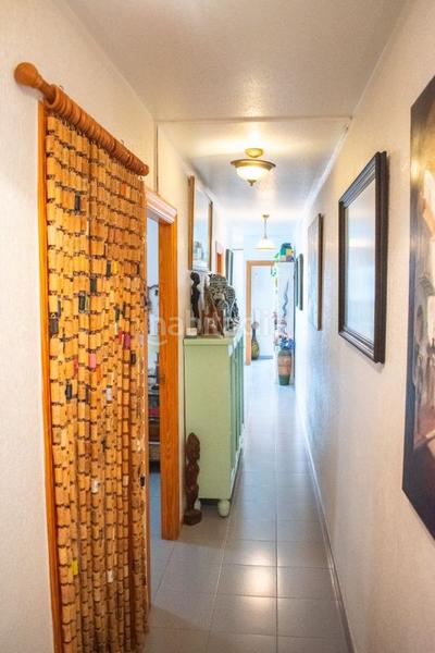 Foto 2e9491e1-0a30-44eb-98e5-97c296323d25. Apartament a calle calle de las orquídeas 1-3 a Playa Flamenca Orihuela Foto 2e9491e1-0a30-44eb-98e5-97c296323d25. Apartament a calle calle de las orquídeas 1-3 a Playa Flamenca Orihuela