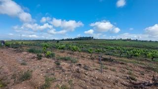 Finca rústica a Renau. Finca rustica en renau Finca rústica a Renau. Finca rustica en renau