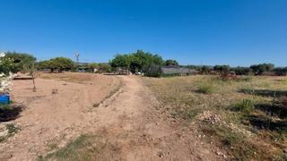 Finca rústica a Coma-ruga Platja. Estupenda finca totalmente vallada muy cerca de las playas de sa Finca rústica a Coma-ruga Platja. Estupenda finca totalmente vallada muy cerca de las playas de sa