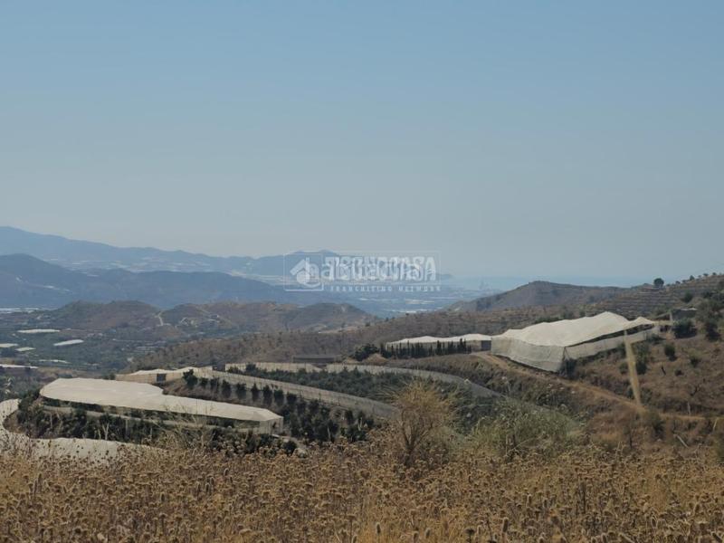Foto 64ff9842-339f-4408-a8e1-cb16f958eca3. Finca rústica a Ítrabo Foto 64ff9842-339f-4408-a8e1-cb16f958eca3. Finca rústica a Ítrabo