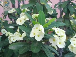 Appartement  Calle 11205. Fabuloso piso en buena zona en algeciras Appartement  Calle 11205. Fabuloso piso en buena zona en algeciras