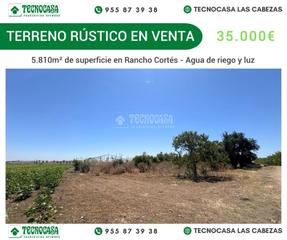 Finca rústica Rancho cortes. Terrenos en venta en las cabezas de san juan Finca rústica Rancho cortes. Terrenos en venta en las cabezas de san juan