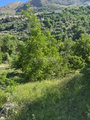 Finca rústica en Güéjar Sierra. Terrenos en venta en gejar sierra Finca rústica en Güéjar Sierra. Terrenos en venta en gejar sierra
