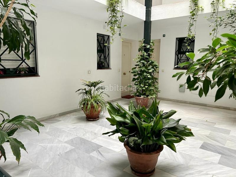 Foto 016ab14f-3df8-4a5a-8c01-b73a46ae568e. Lloguer apartament a La Victoria Málaga Foto 016ab14f-3df8-4a5a-8c01-b73a46ae568e. Lloguer apartament a La Victoria Málaga