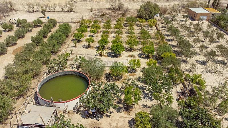 Foto ae19d5df-59a1-4c31-a626-dd6469fd0792. Masía casa rural en venta en Turre Foto ae19d5df-59a1-4c31-a626-dd6469fd0792. Masía casa rural en venta en Turre