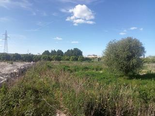 Finca rústica a Senda de l´amo 115. Disfruta del campo a 900 metros del mar en miramar Finca rústica a Senda de l´amo 115. Disfruta del campo a 900 metros del mar en miramar