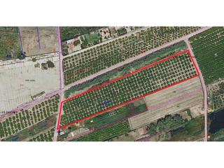 Finca rústica Marjals. Terreno amplio con plantación activa junto al polígono sur de xe Finca rústica Marjals. Terreno amplio con plantación activa junto al polígono sur de xe