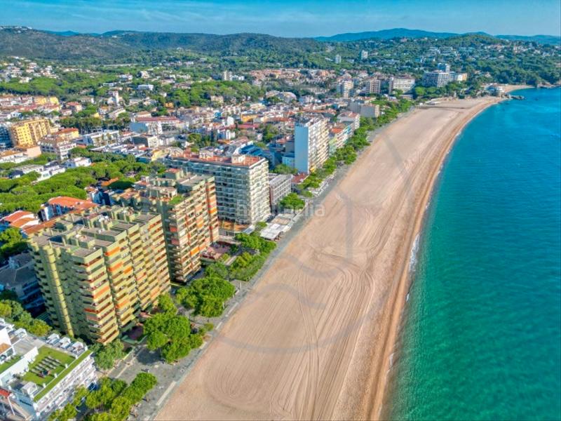 Foto 8a503b13-6ea6-4d43-ab2f-d5bc69bae875. Apartamento interesante apartamento en platja d'aro en Platja d´Aro Foto 8a503b13-6ea6-4d43-ab2f-d5bc69bae875. Apartamento interesante apartamento en platja d'aro en Platja d´Aro