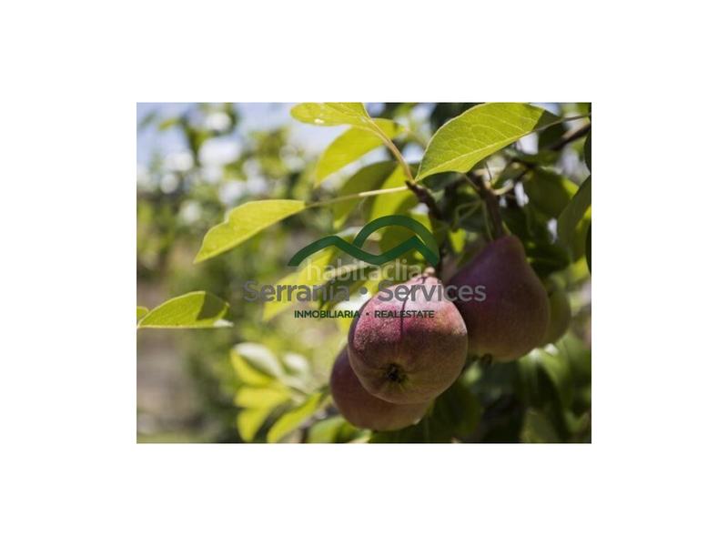 Foto 0716f699-860f-4539-ae98-349c5912045a. Masia a Grazalema Foto 0716f699-860f-4539-ae98-349c5912045a. Masia a Grazalema