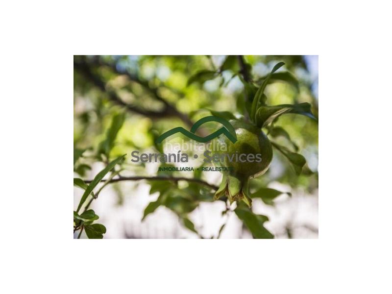 Foto 79c272e4-16d0-4a2c-98f4-7f6251d983e8. Masia a Grazalema Foto 79c272e4-16d0-4a2c-98f4-7f6251d983e8. Masia a Grazalema