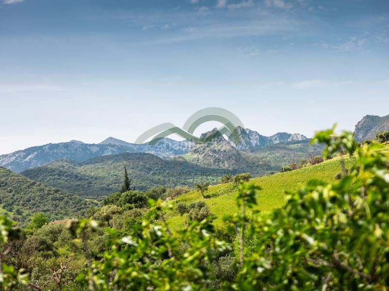 Foto ad43b145-657c-44ec-9c01-34009d245817. Masia a Grazalema Foto ad43b145-657c-44ec-9c01-34009d245817. Masia a Grazalema