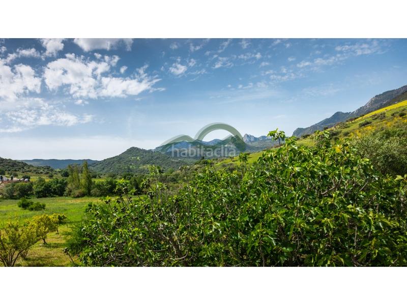 Foto ce92b61f-9478-44b4-8fb7-29c6d1e360ca. Masia a Grazalema Foto ce92b61f-9478-44b4-8fb7-29c6d1e360ca. Masia a Grazalema