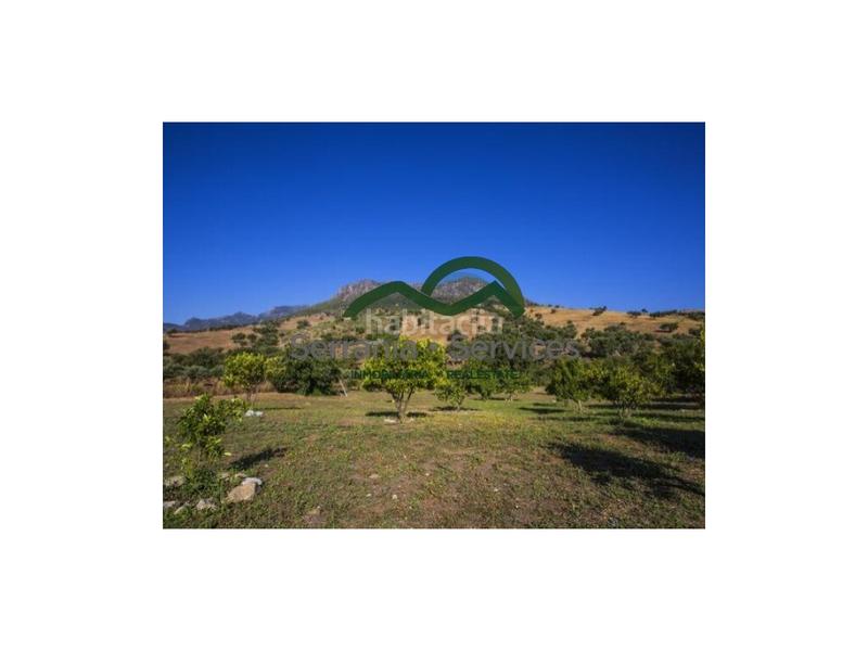 Foto f08507ee-3858-43cc-9c76-bec3ac091b78. Masia a Grazalema Foto f08507ee-3858-43cc-9c76-bec3ac091b78. Masia a Grazalema