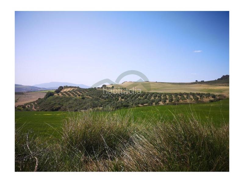 Foto 4d84046d-d2b6-4298-969a-bd4875ed5278. Masia a Torre Alháquime Foto 4d84046d-d2b6-4298-969a-bd4875ed5278. Masia a Torre Alháquime