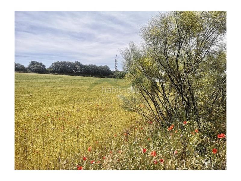 Foto 4ebe2d5f-1f05-42e8-ab8e-e931a42555da. Masia a Torre Alháquime Foto 4ebe2d5f-1f05-42e8-ab8e-e931a42555da. Masia a Torre Alháquime
