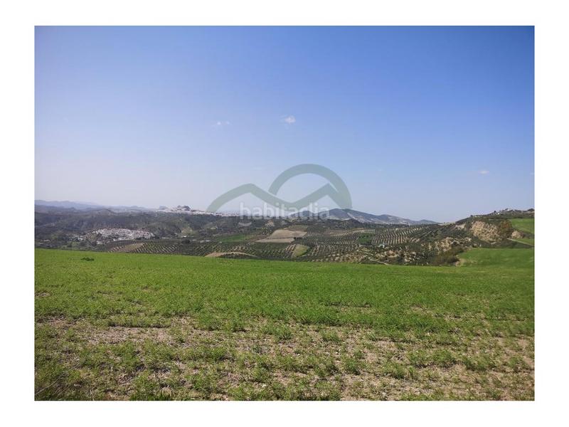 Foto ade4d594-1a97-4c5d-b3df-963eb8ddd6c3. Masia a Torre Alháquime Foto ade4d594-1a97-4c5d-b3df-963eb8ddd6c3. Masia a Torre Alháquime
