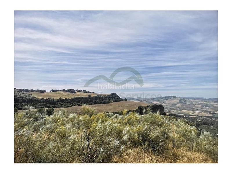 Foto b90edc49-95ca-448d-9ea8-846b0242542e. Masia a Torre Alháquime Foto b90edc49-95ca-448d-9ea8-846b0242542e. Masia a Torre Alháquime